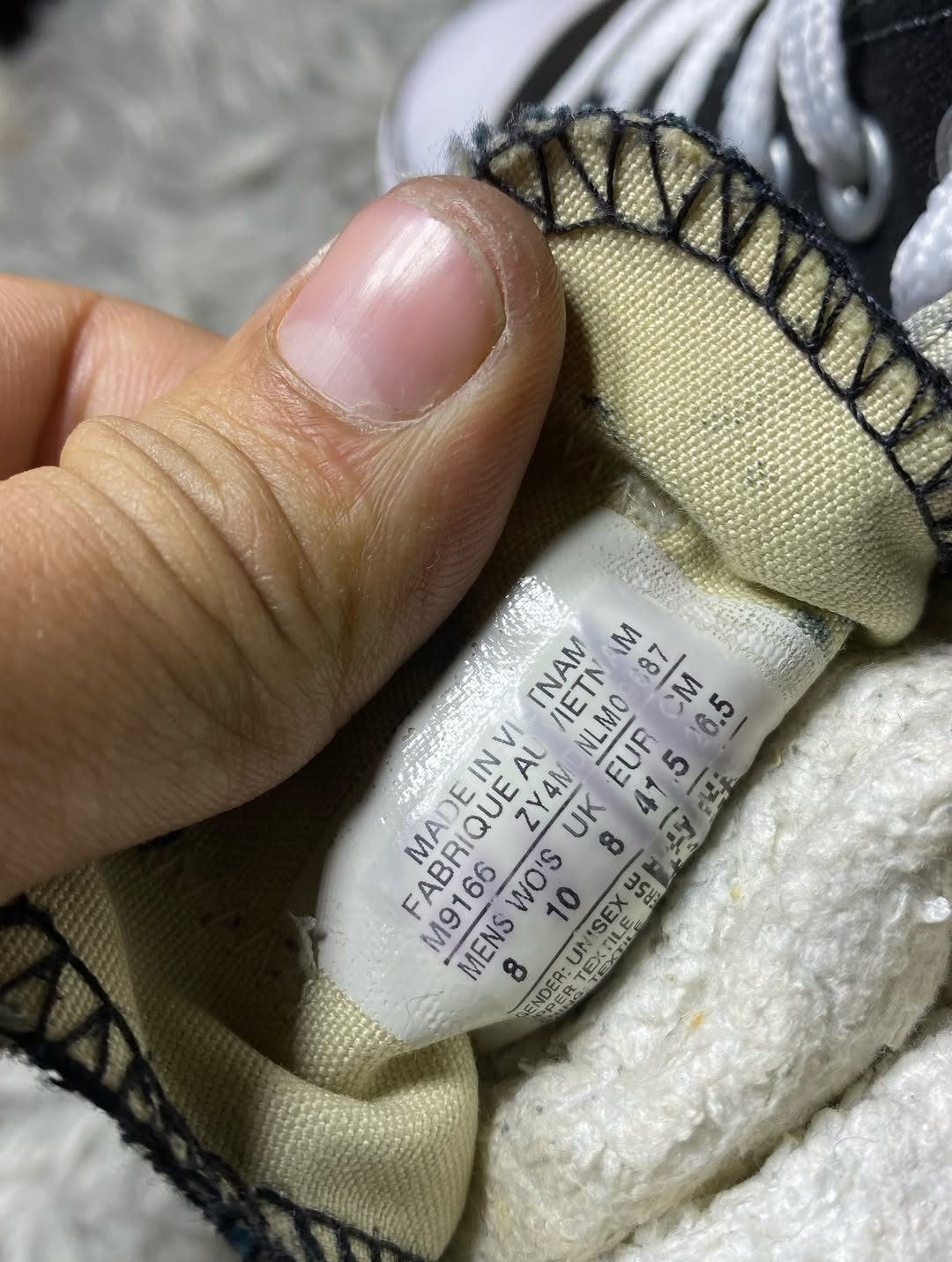 Converse Low Top (41.5)