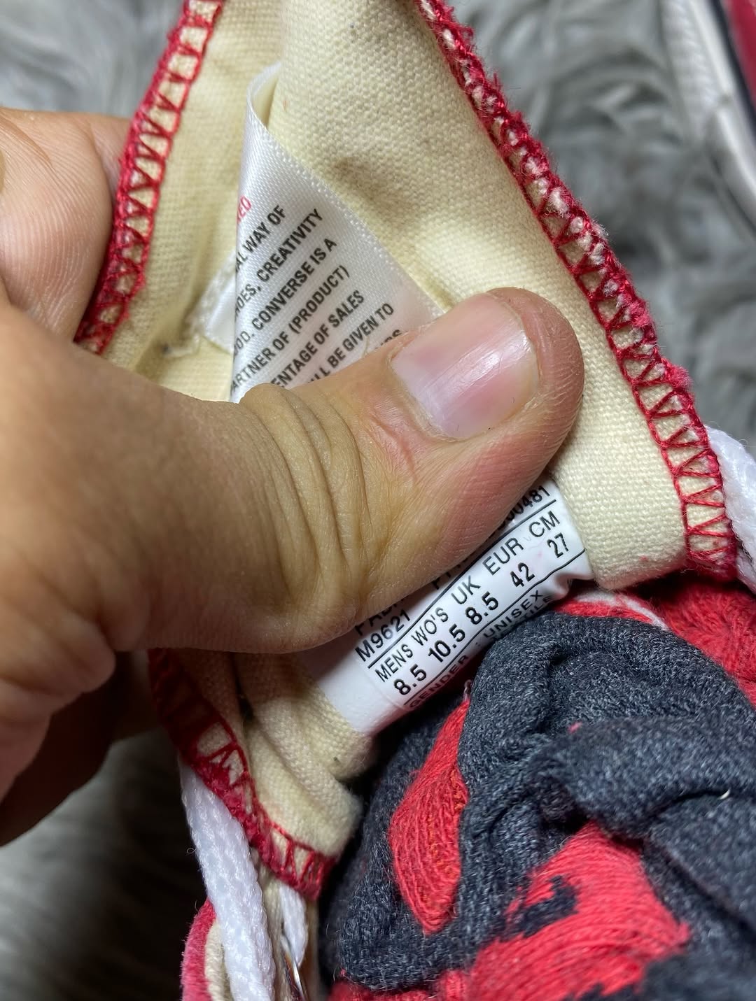 Converse High Top (42)