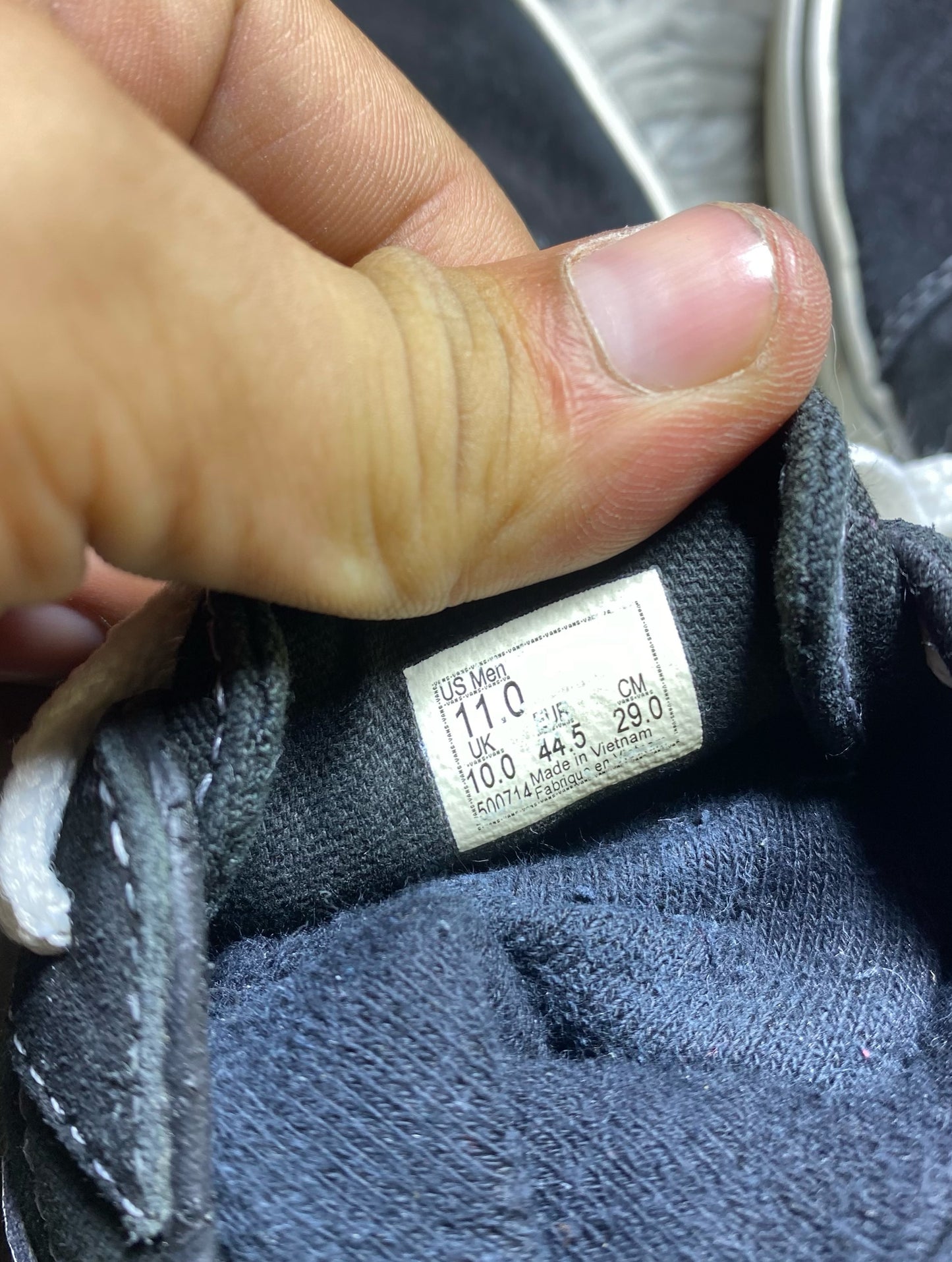 Vans Low Top (44.5)