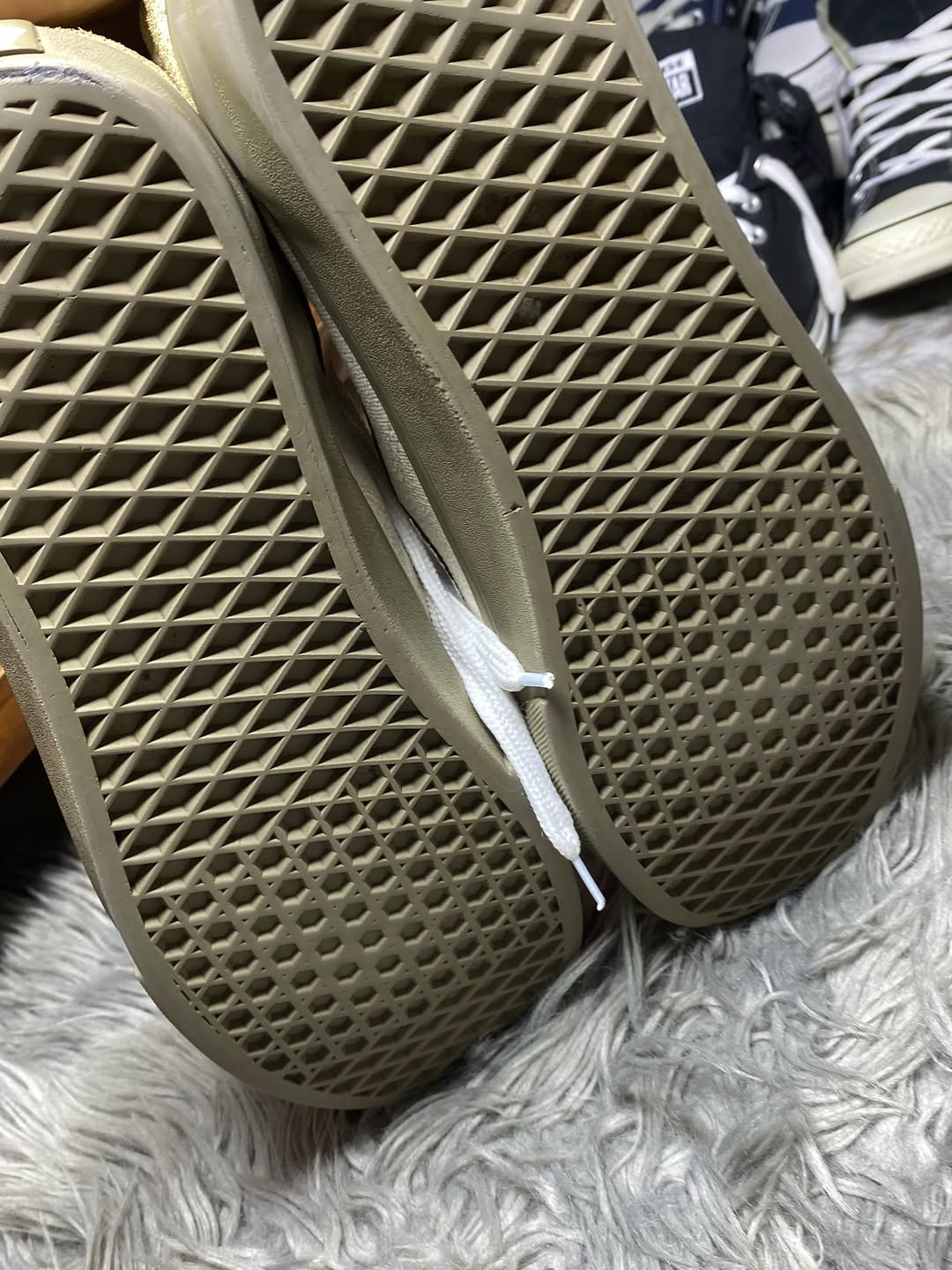 Vans Low Top (44.5)