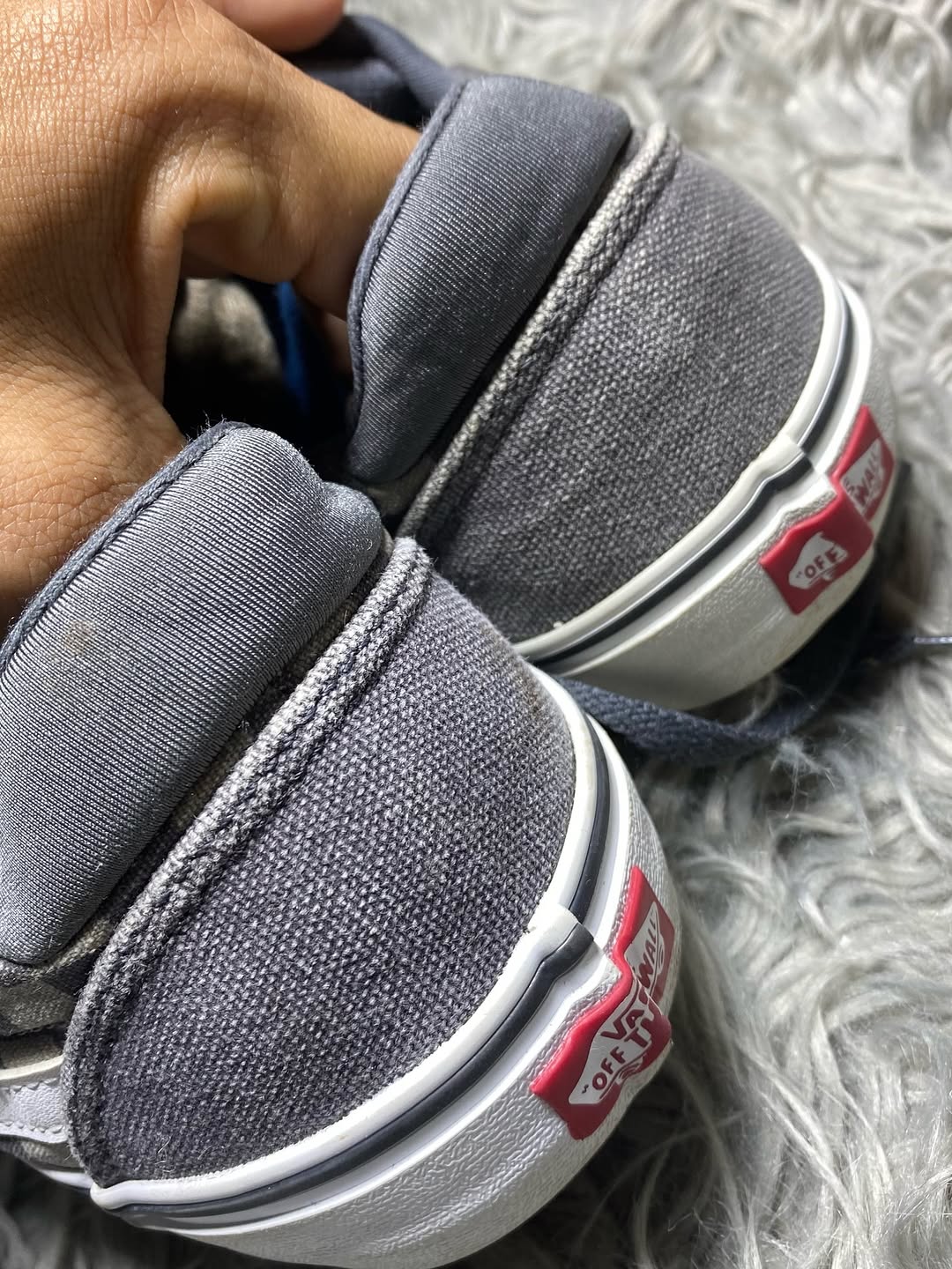 Vans Low Top (42.5)