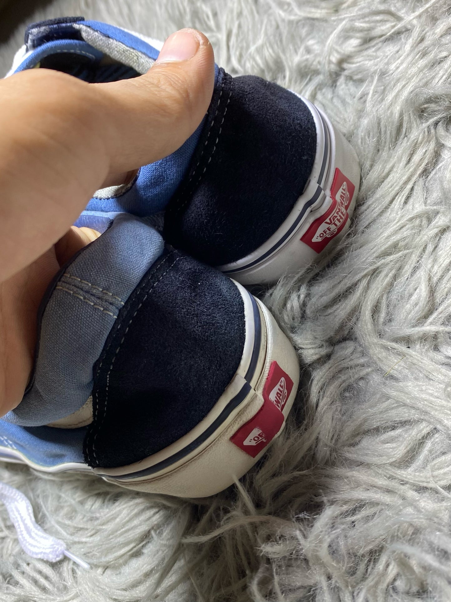 Vans Low Top (43)