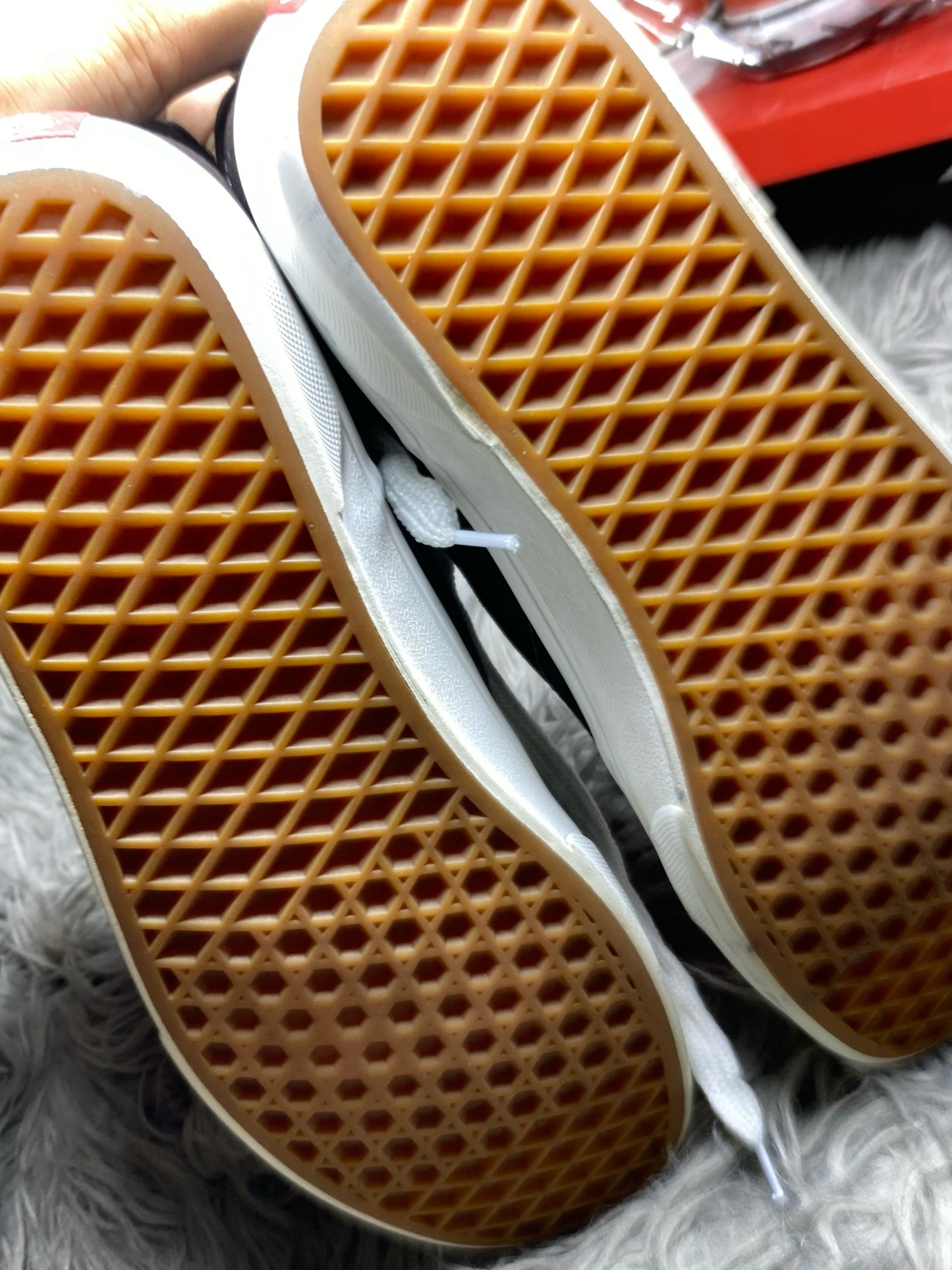 Vans Low Top (41)