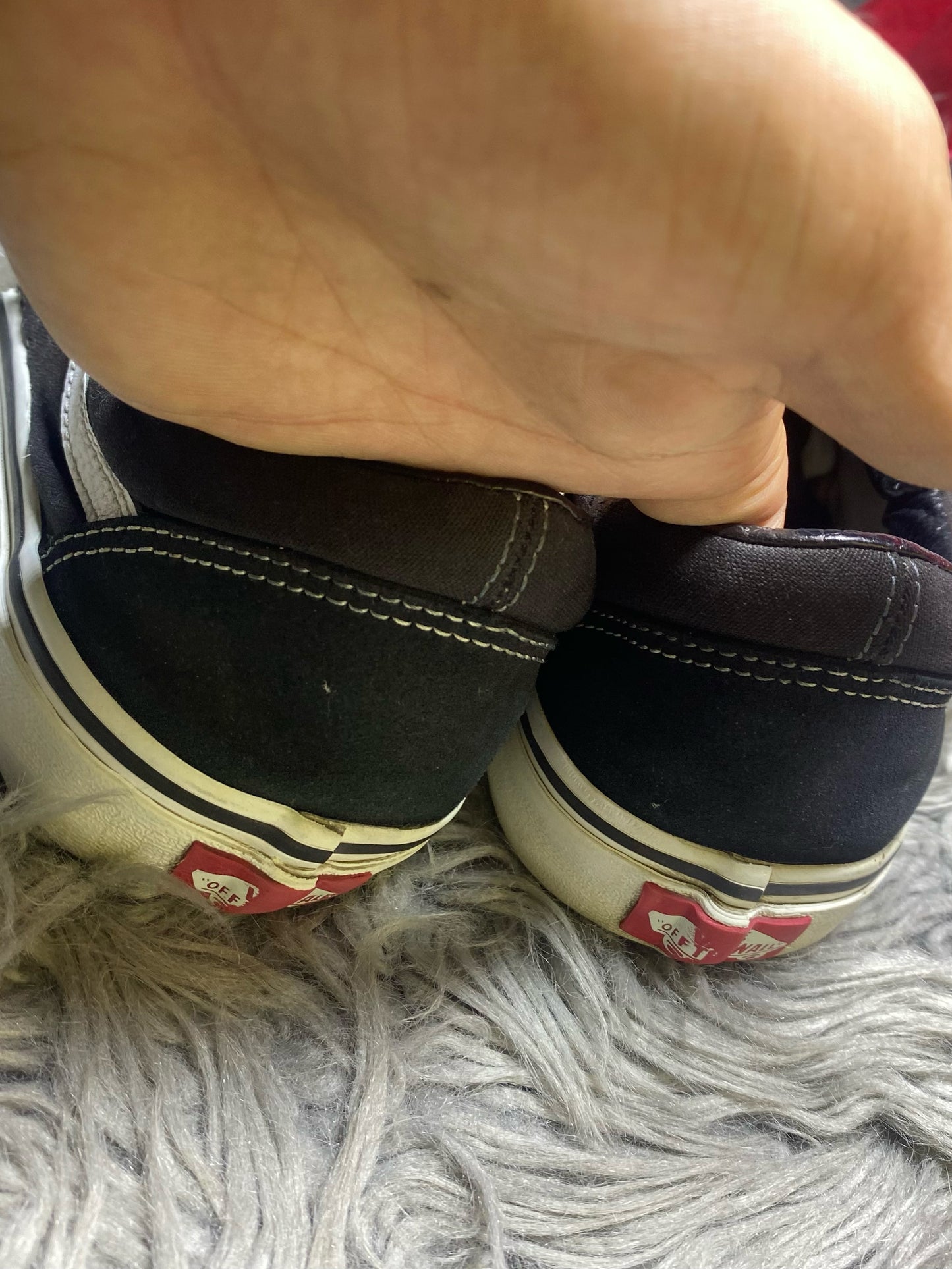 Vans Low Top (42)