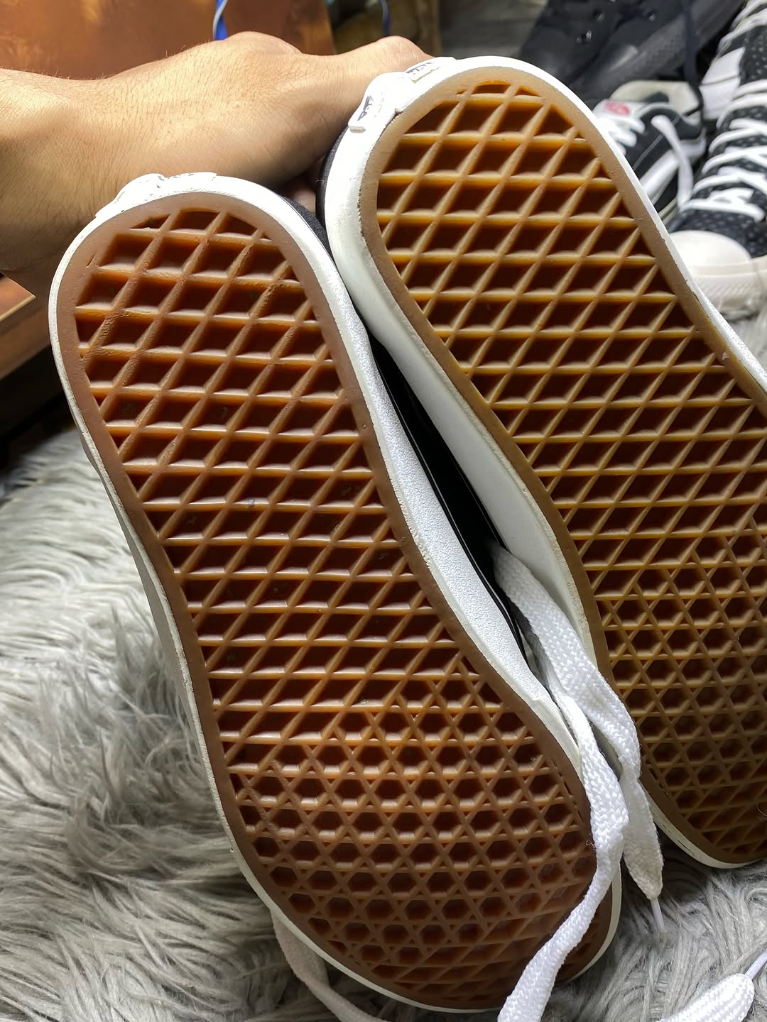Vans Low Top (41)