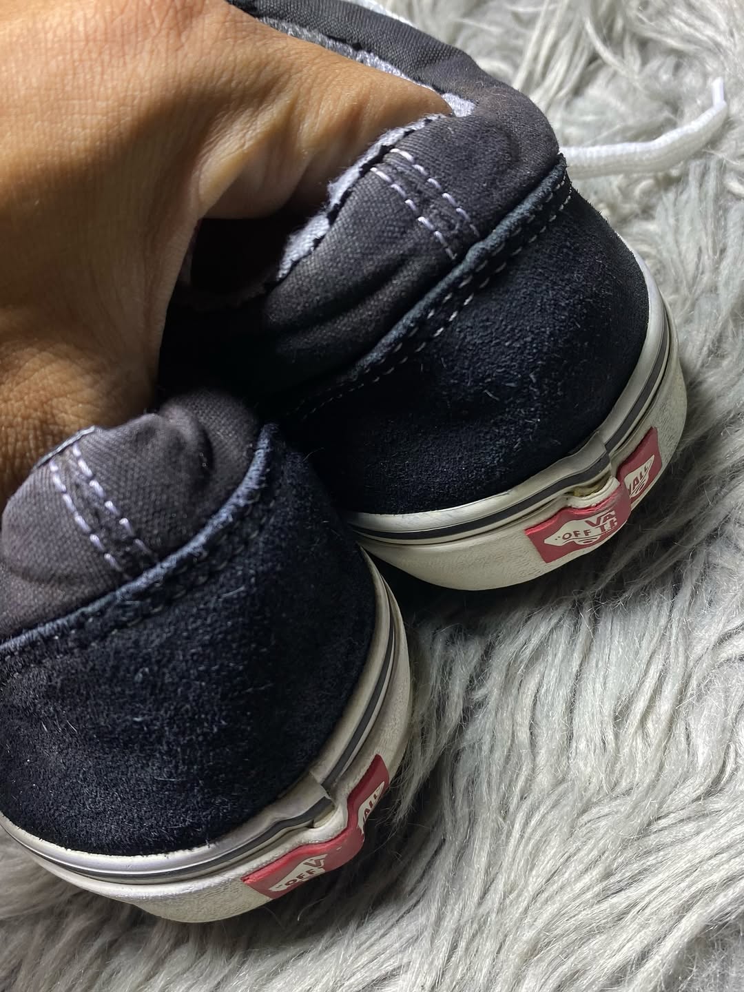 Vans Low Top (44.5)