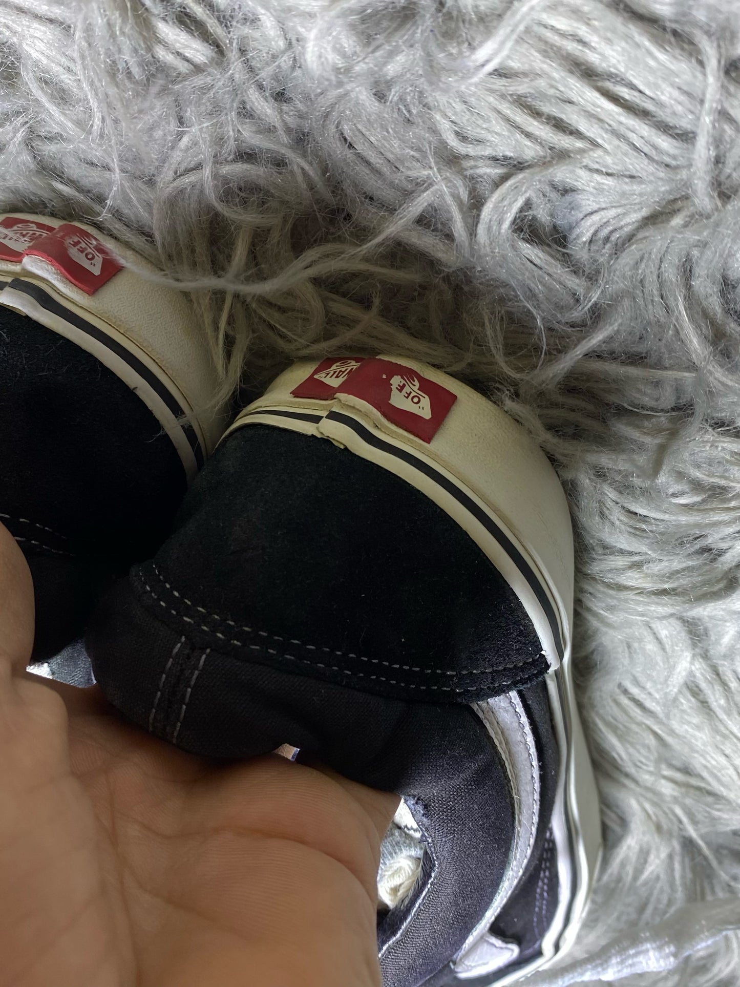 Vans Low Top (42)