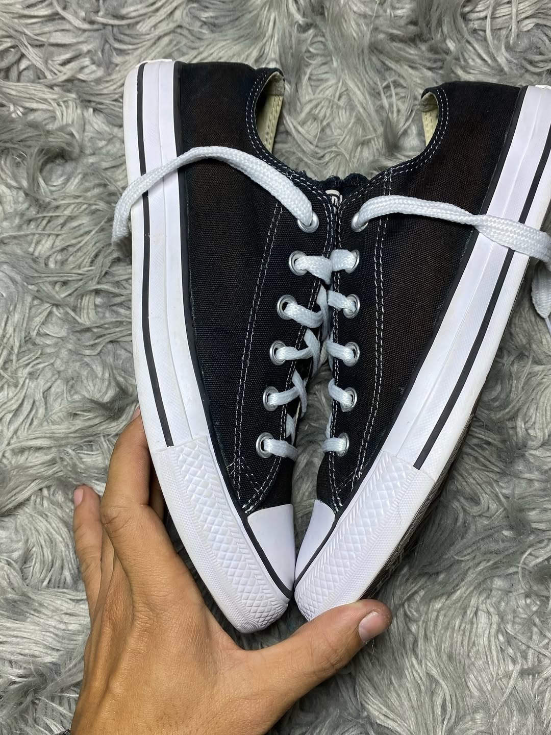 Converse Low Top (41.5)