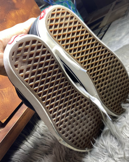 Vans Low Top (44.5)
