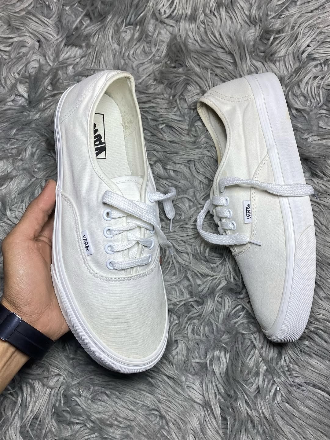 Vans Low Top (42.5)
