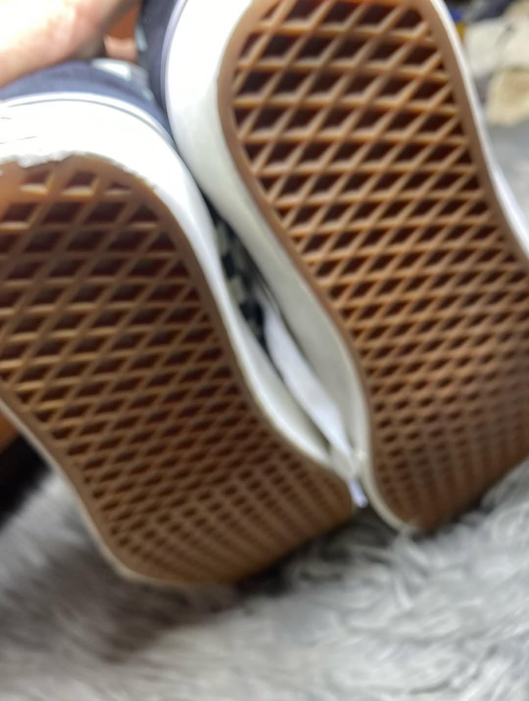 Vans Low Top (46)