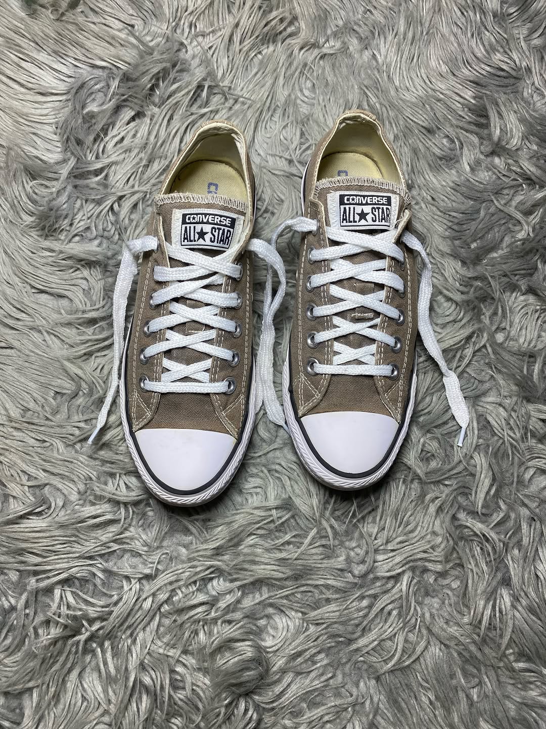 Converse Low Top (37)