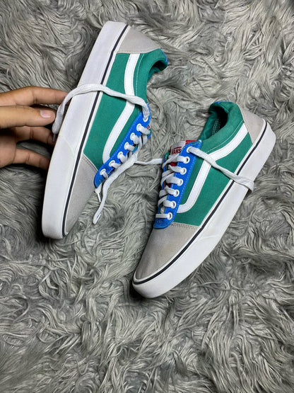 Vans Low Top (45)