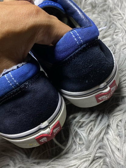 Vans Low Top (45)