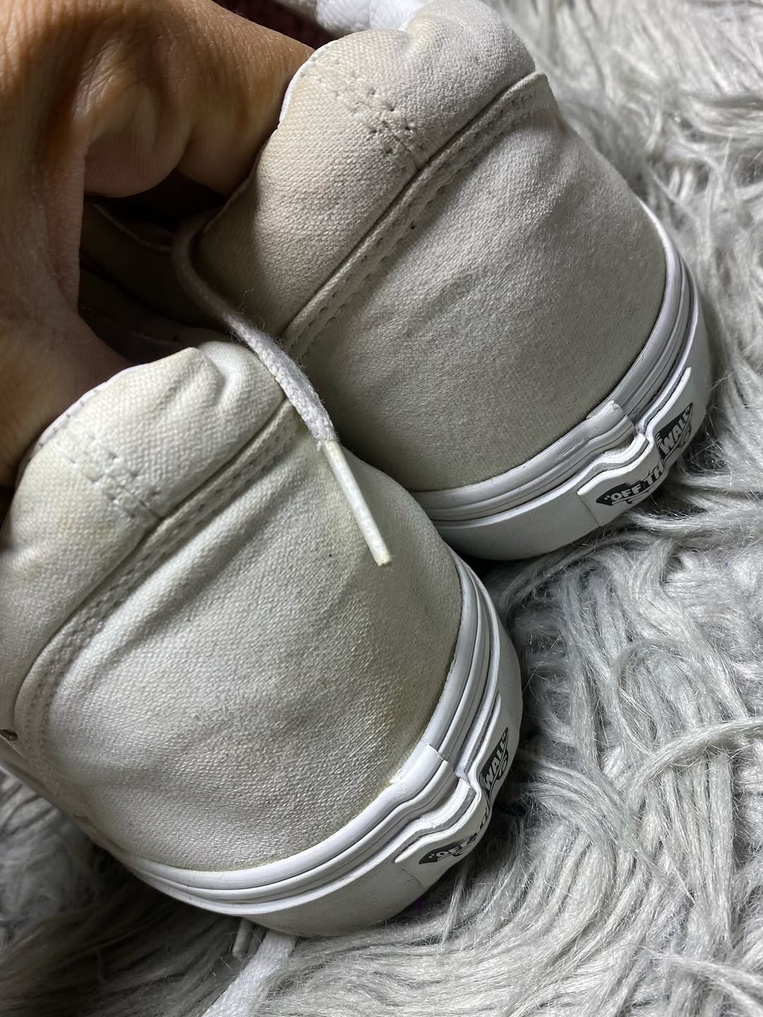 Vans Low Top (46)
