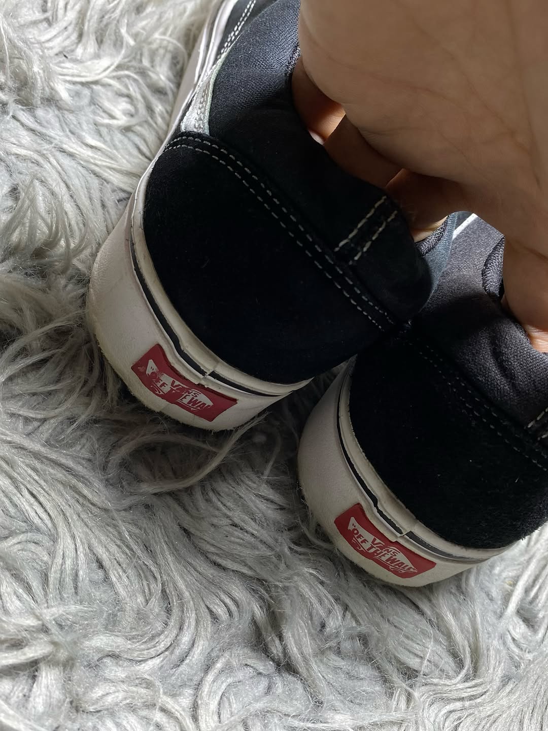 Vans Low Top (42)