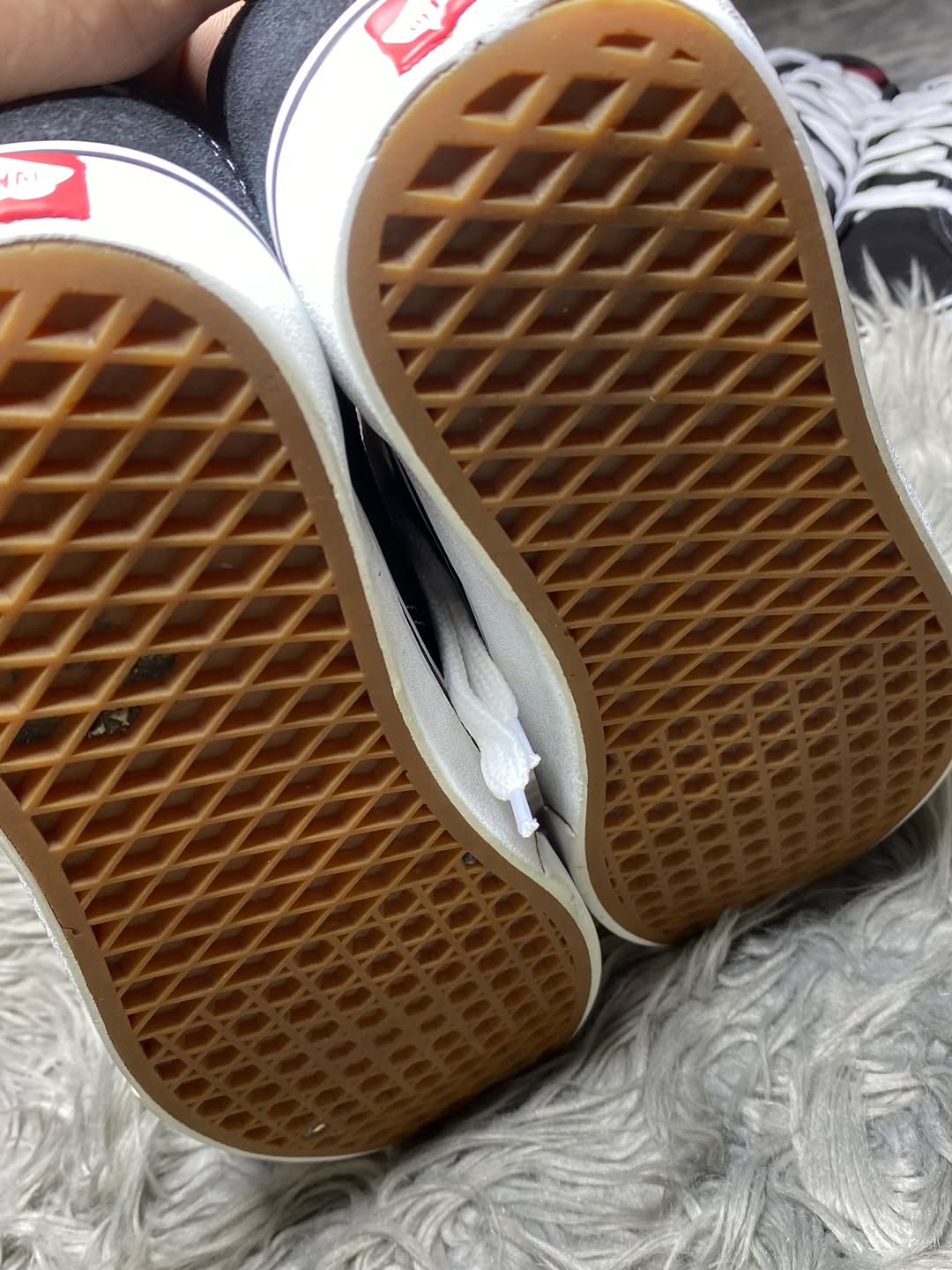 Vans Low Top (41)