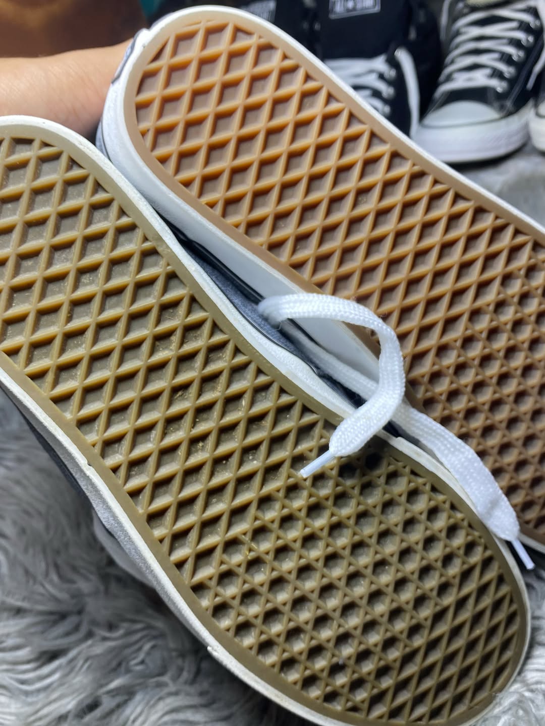 Vans Low Top (43)