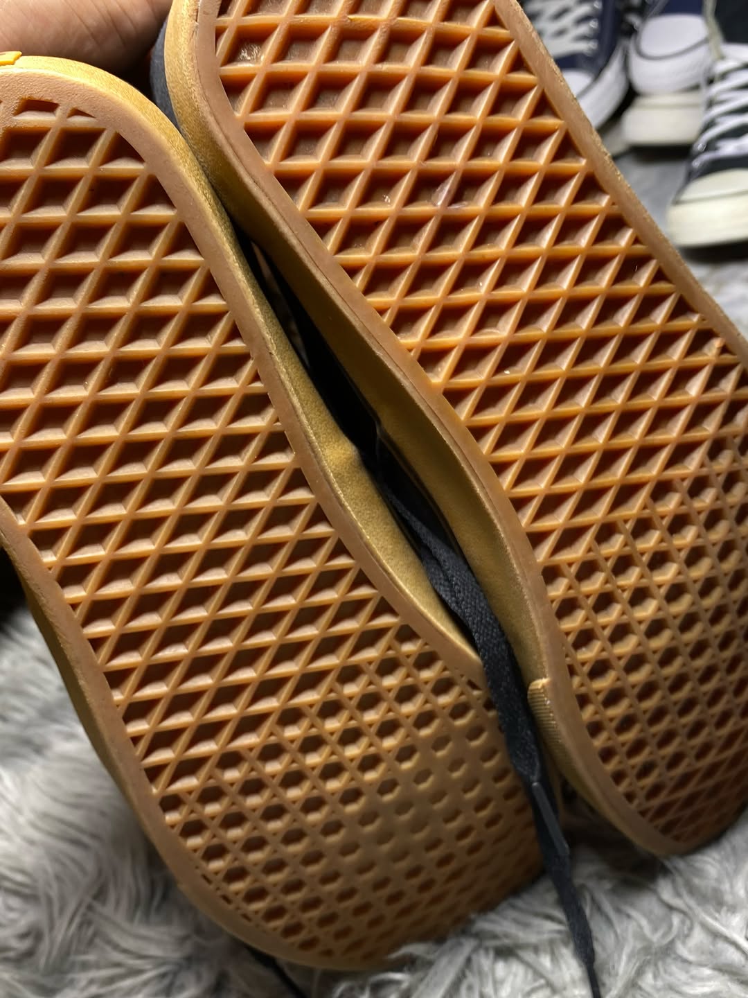 Vans Low Top (46)