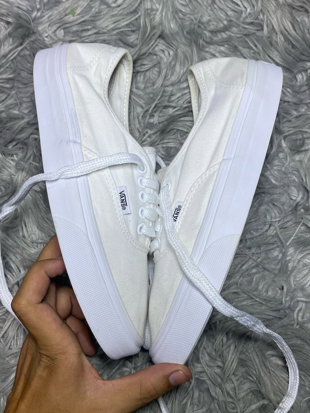 Vans Low Top (40.5)