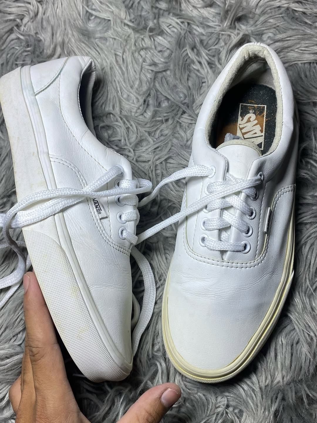 Vans Low Top (42.5)