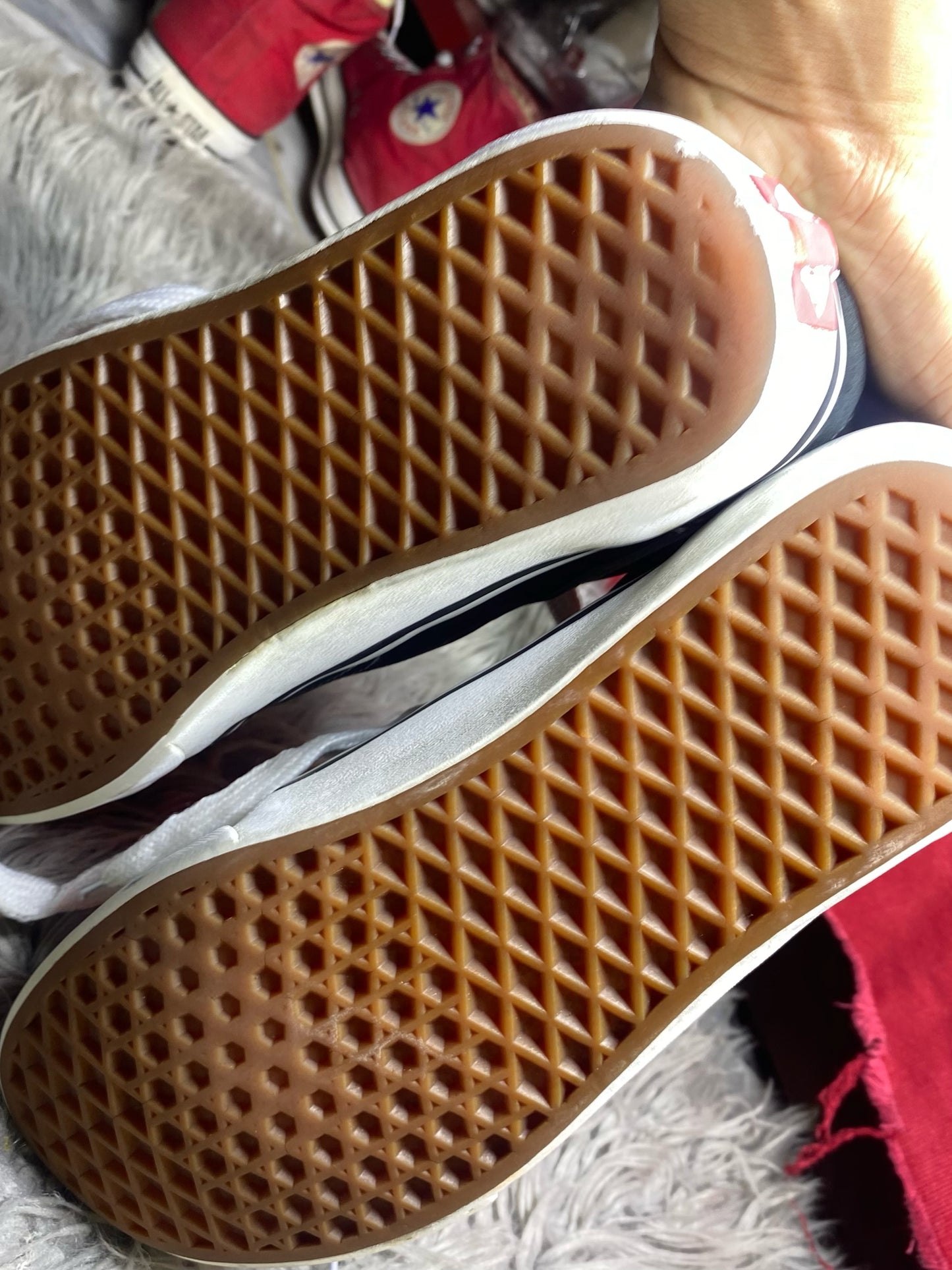 Vans Low Top (42)