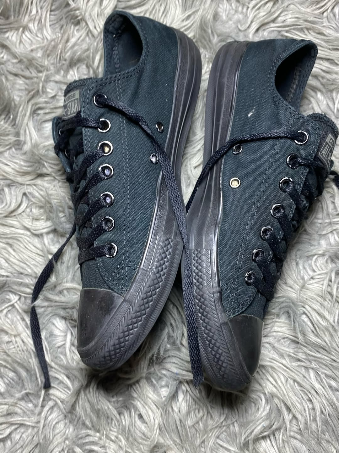 Converse Low Top (43)
