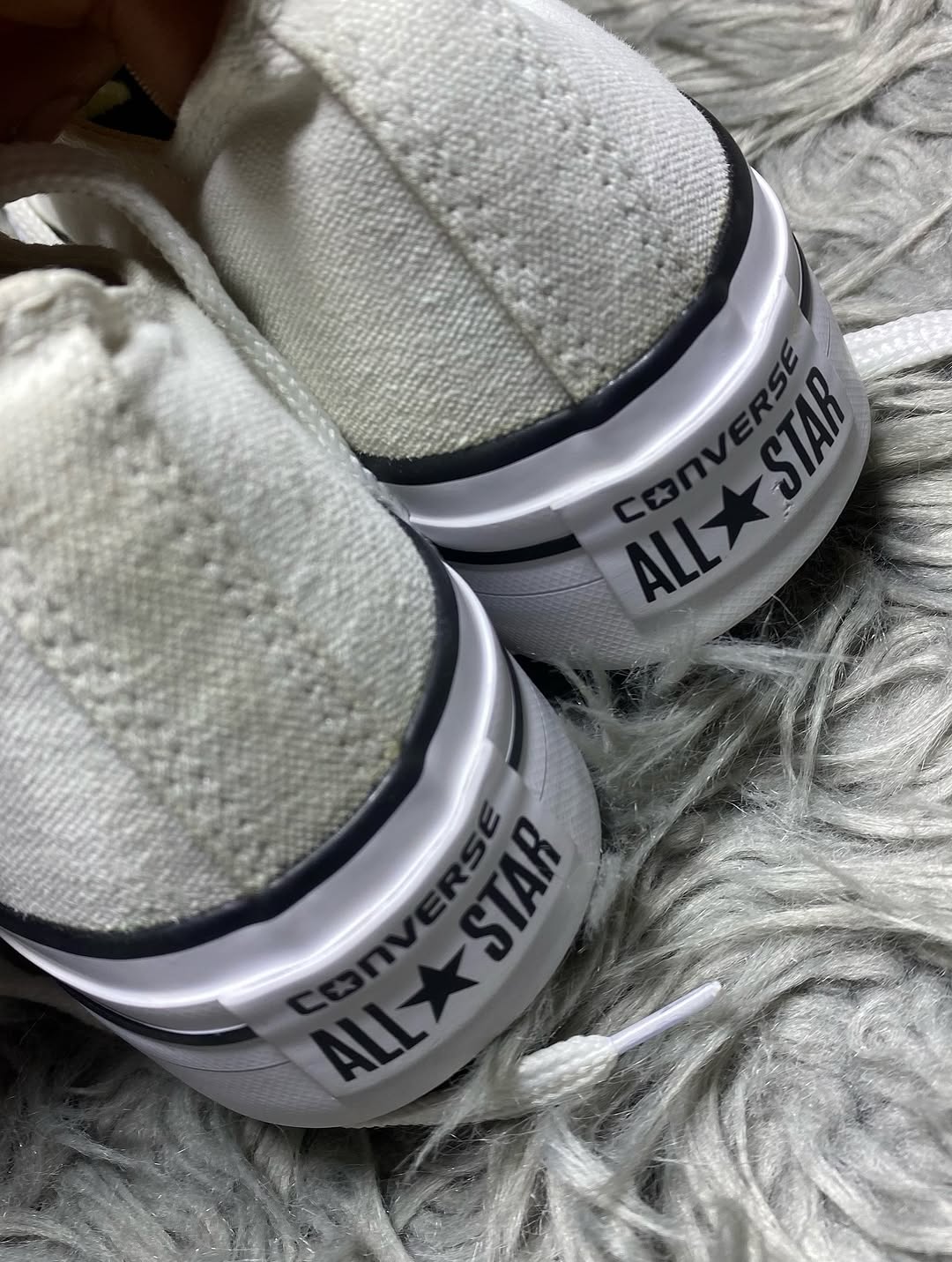 Converse Low Top (37.5)