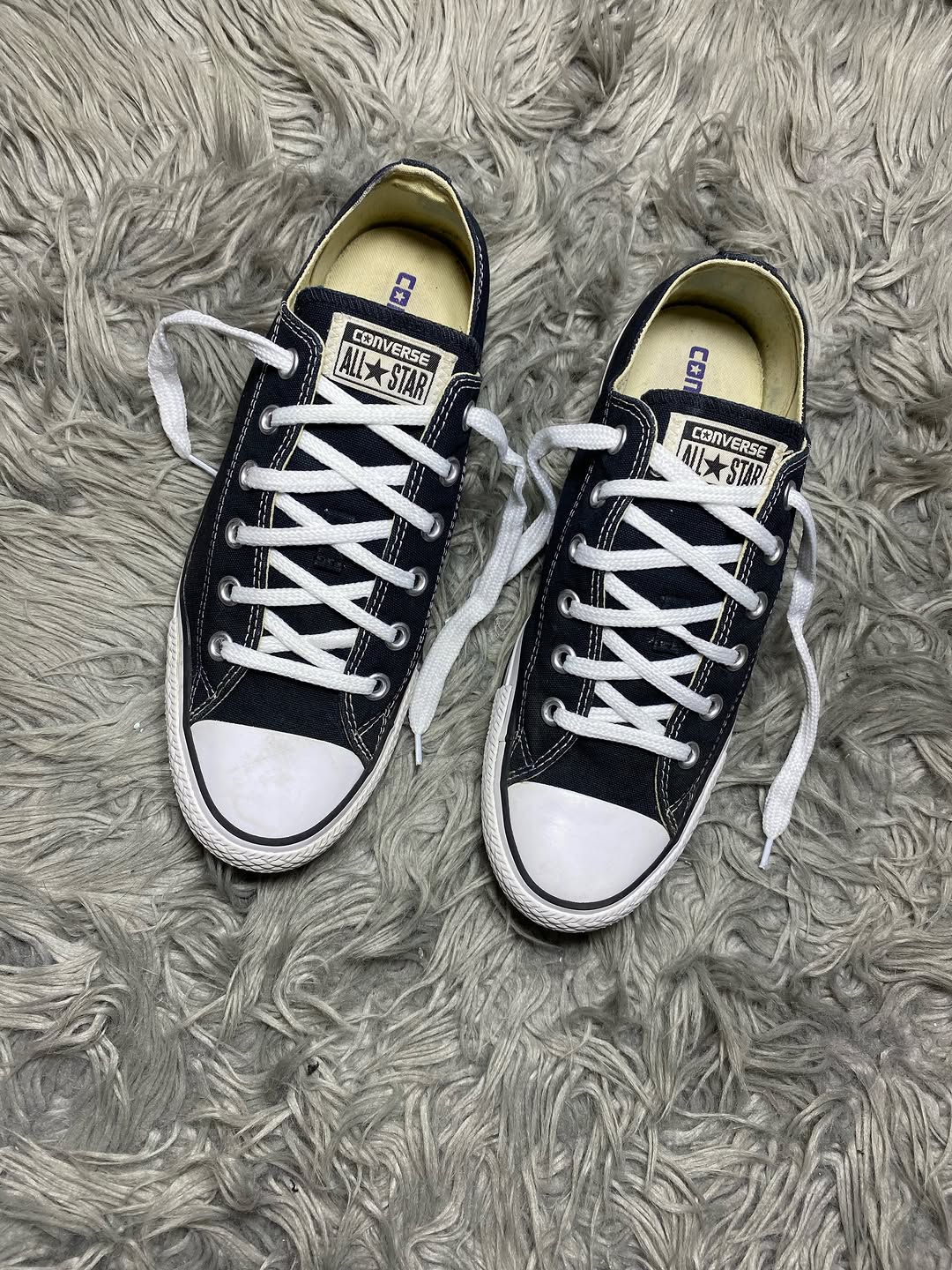 Converse Low Top (41.5)