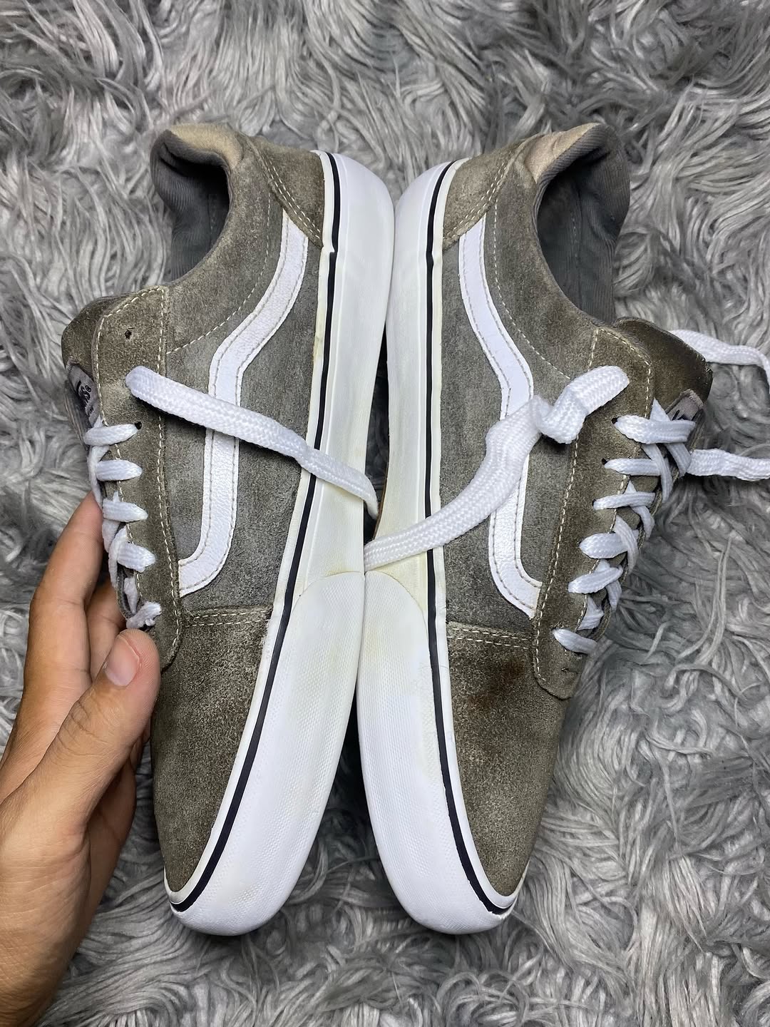Vans Low Top (42.5)