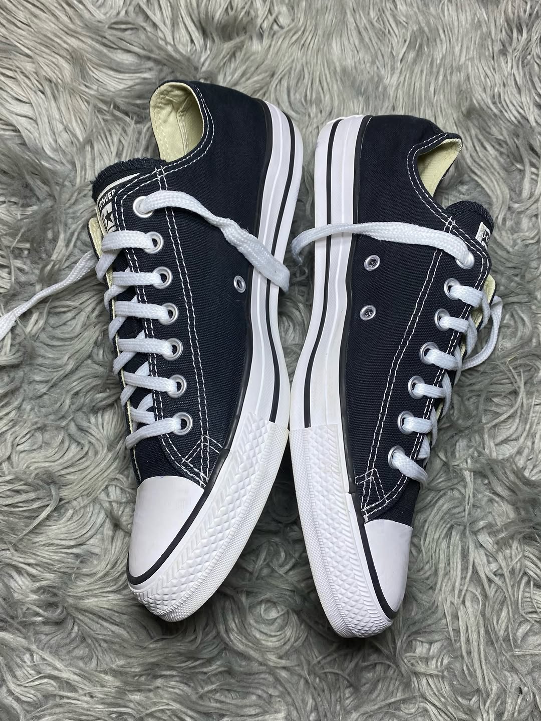 Converse Low Top (42.5)