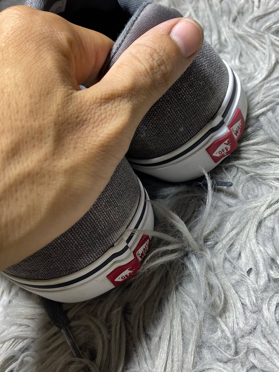 Vans Low Top (42)