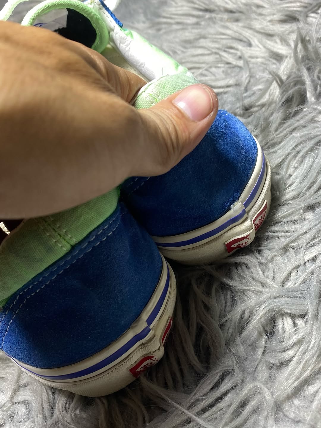 Vans Low Top (42.5)