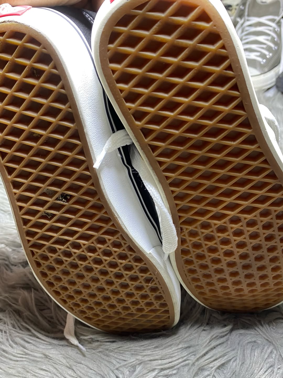 Vans Low Top (40.5)