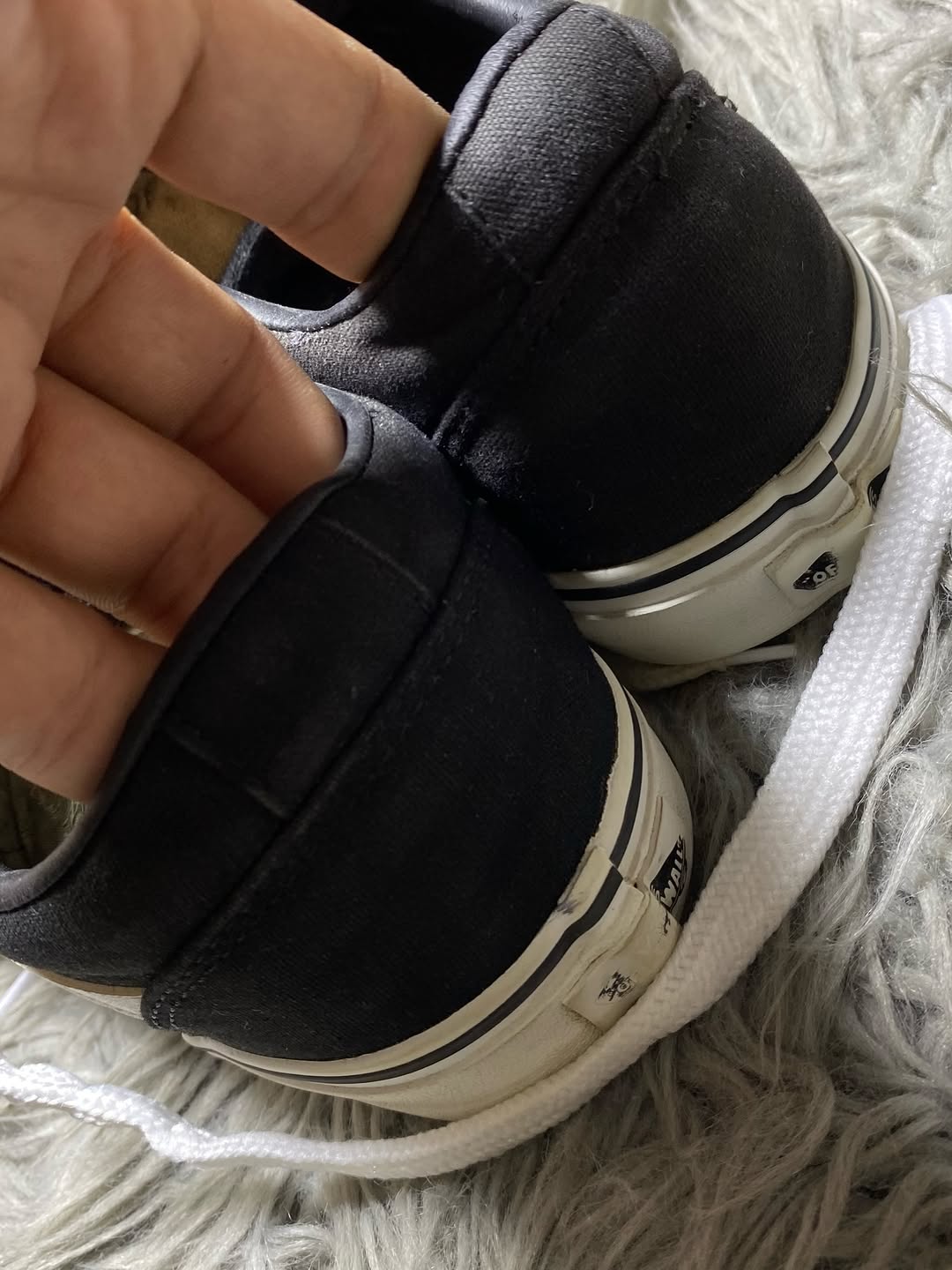 Vans Low Top (41)