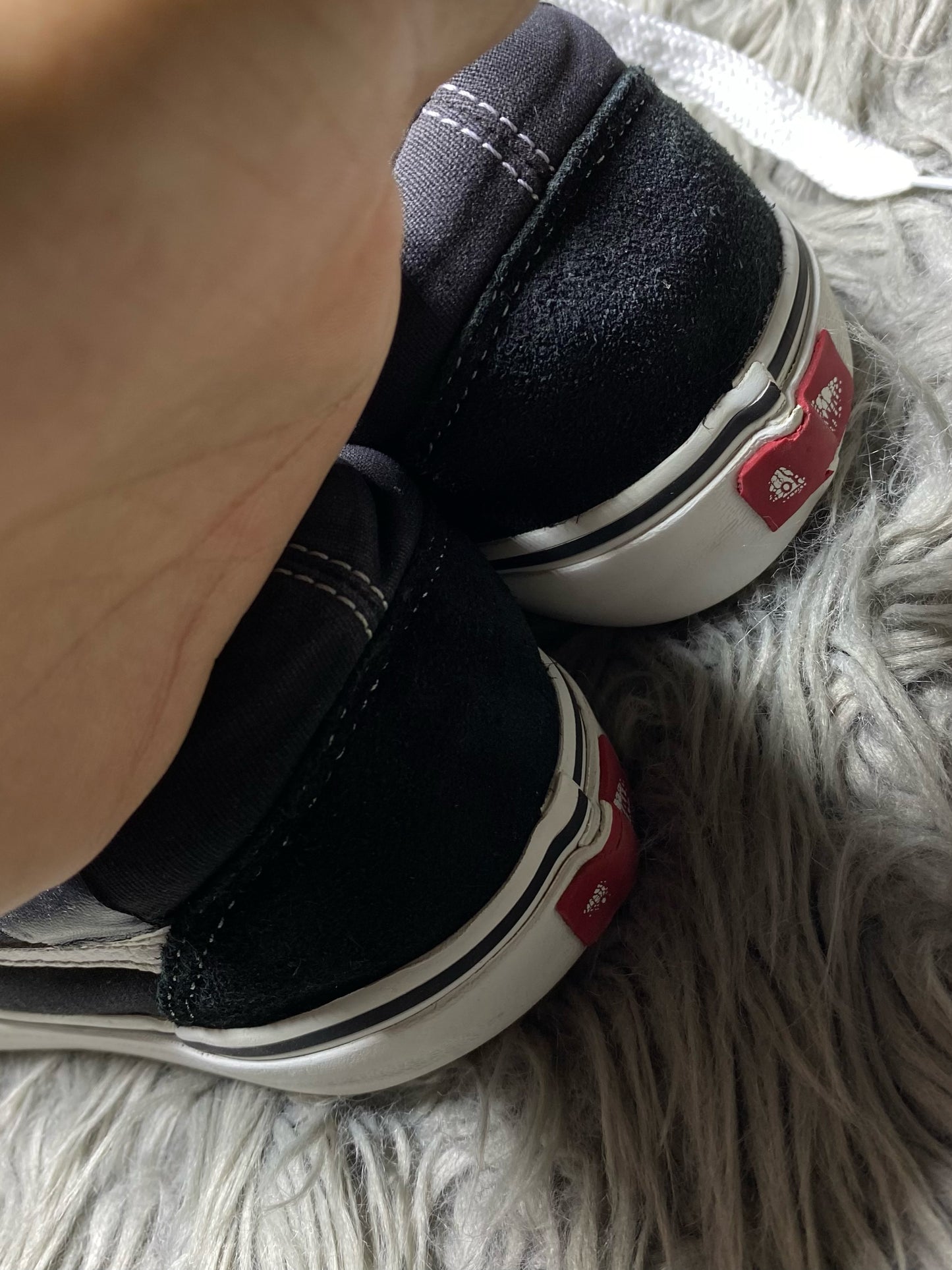 Vans Low Top (44.5)
