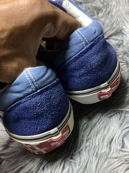 Vans Low Top (41)