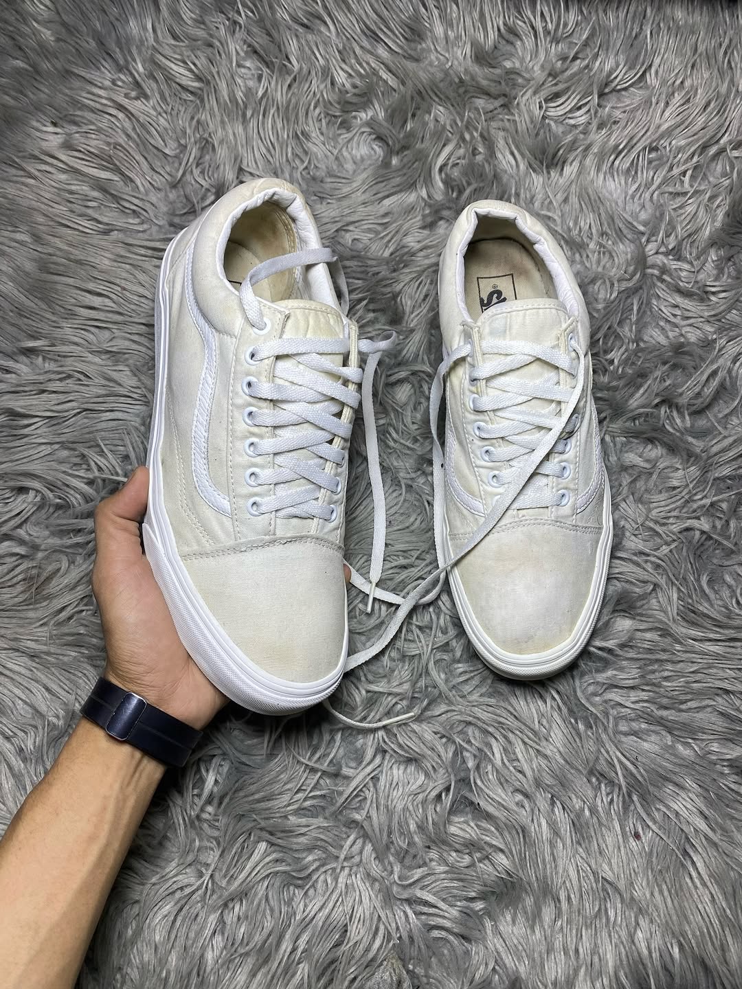 Vans Low Top (46)