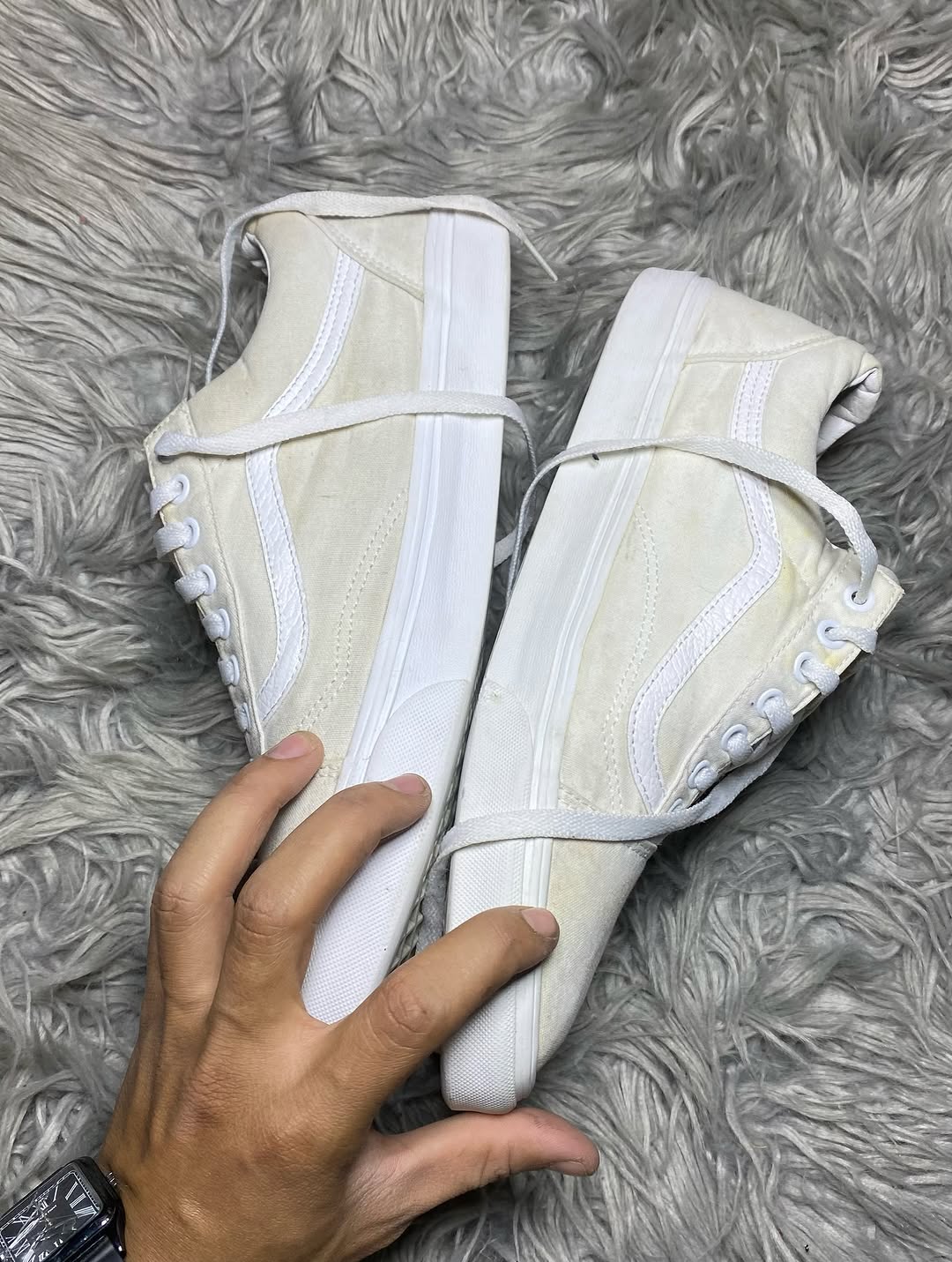 Vans Low Top (46)