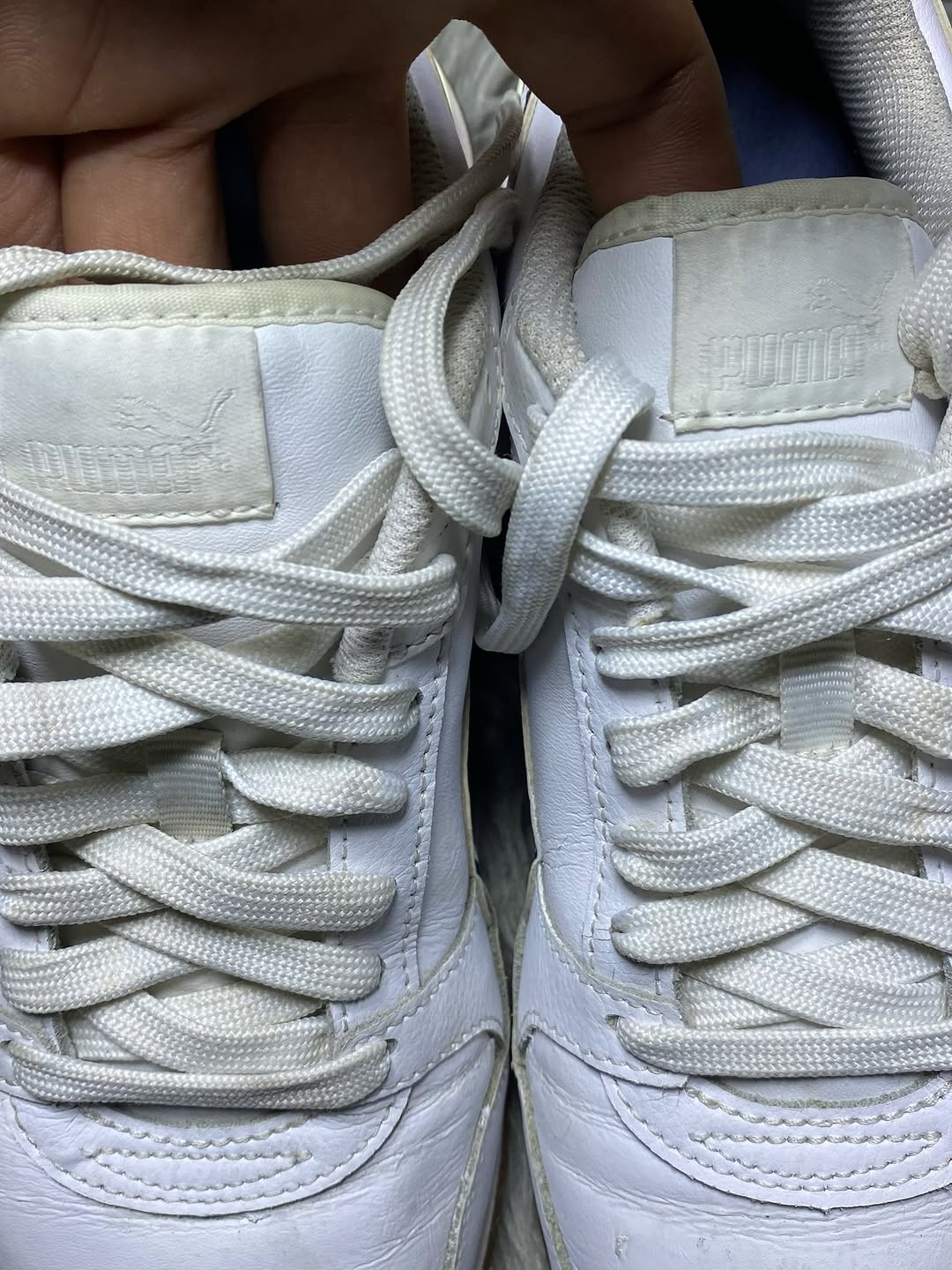 Puma Shoes Size (42.5)