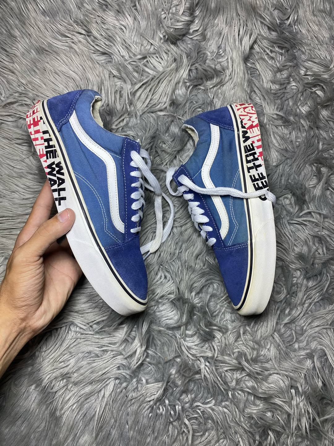 Vans Low Top (41)
