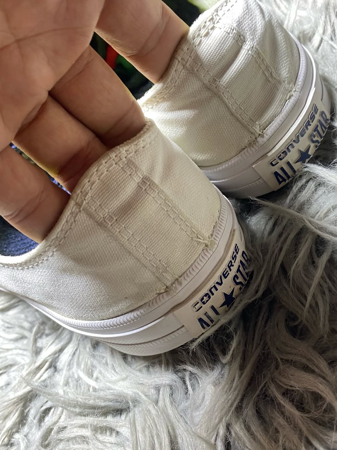 Converse Low Top (44)