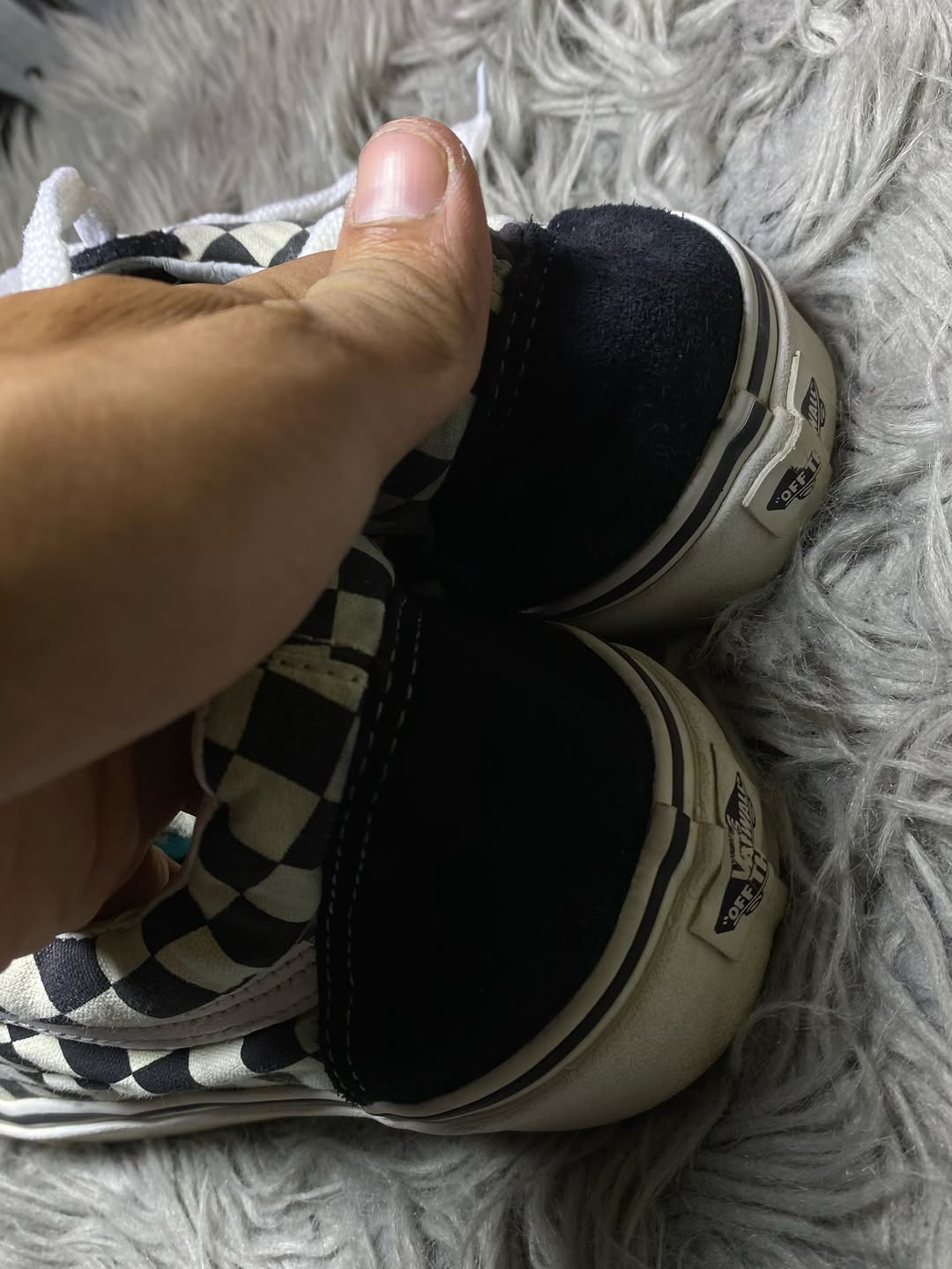 Vans Low Top (44)