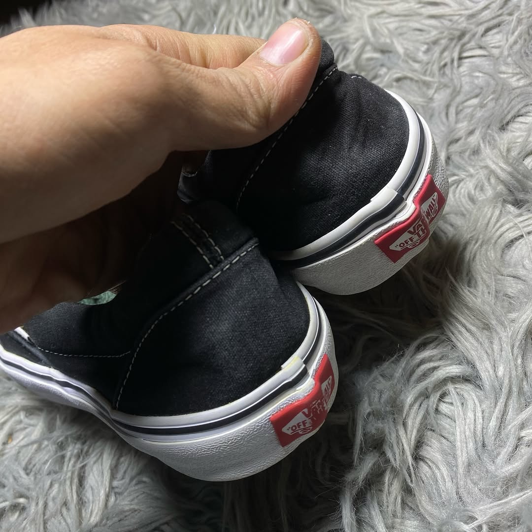 Vans Low Top(42.5)