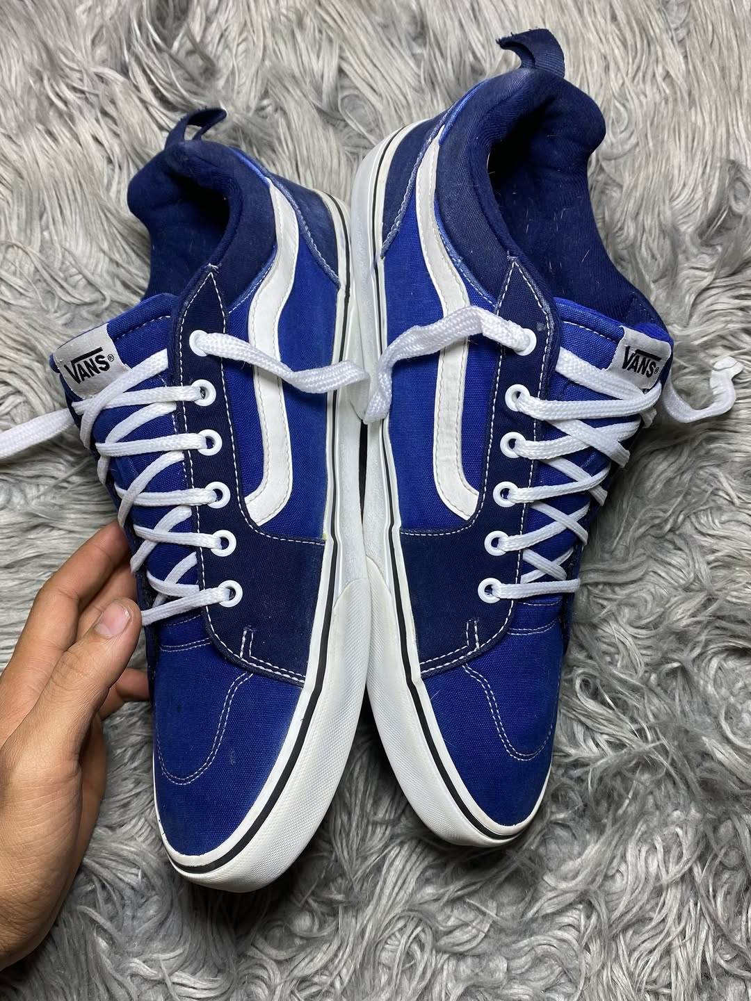 Vans Low Top (47)