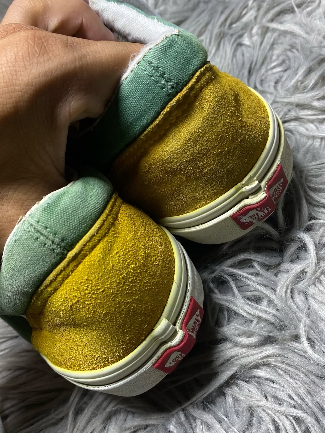 Vans Low Top (41)