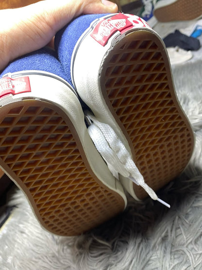 Vans Low Top (41)