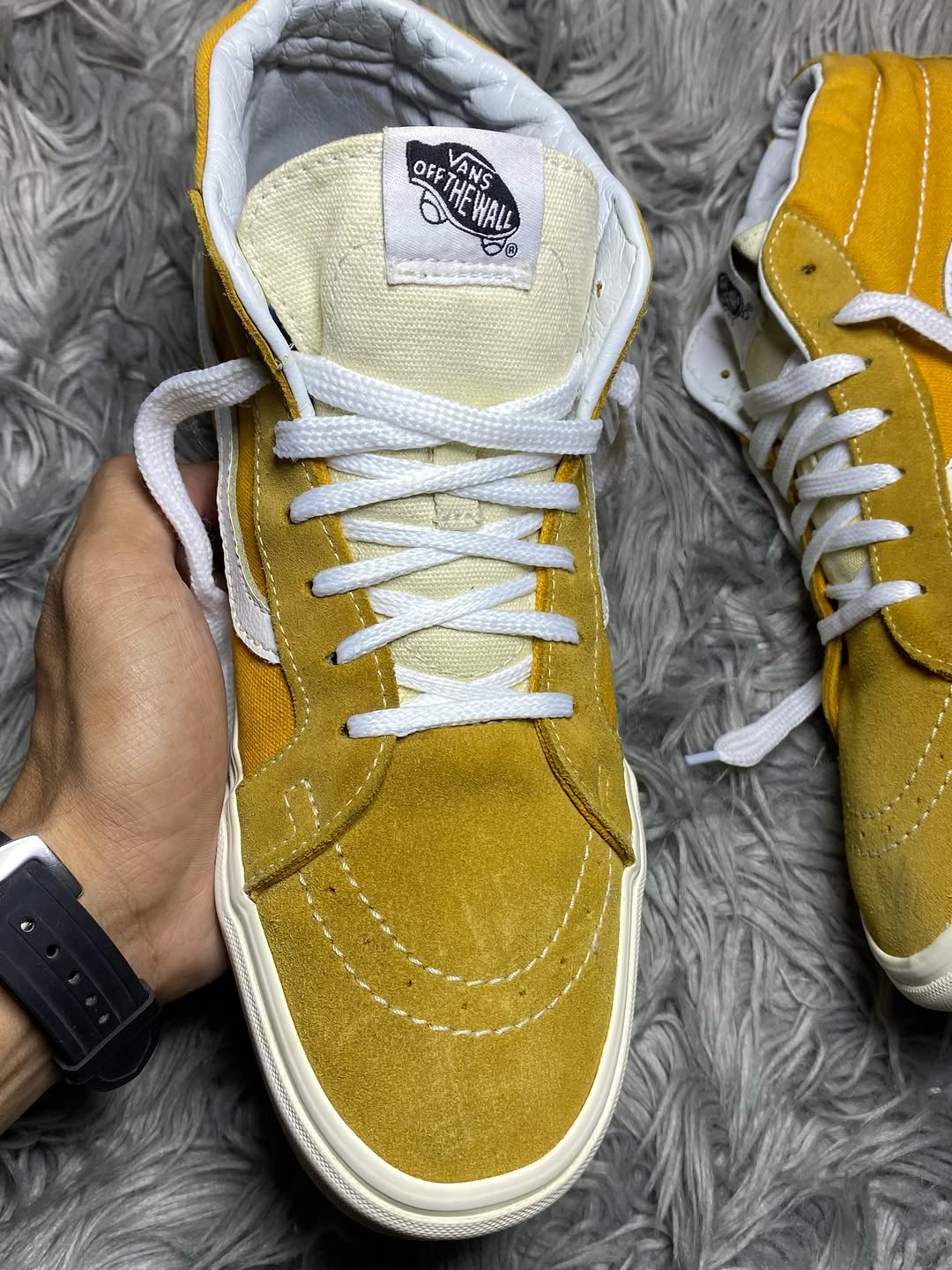 Vans Low Top (43)