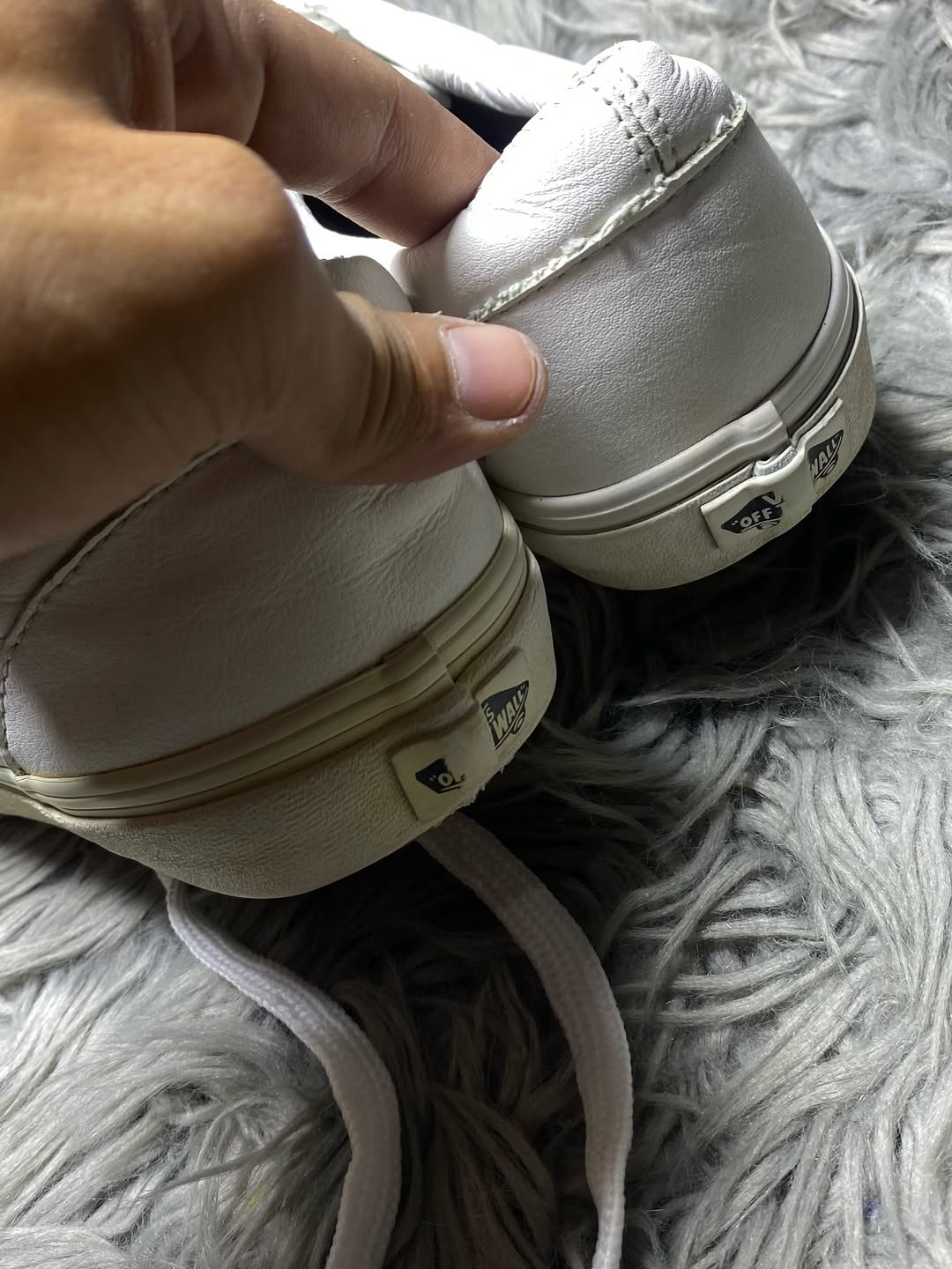 Vans Low Top (42.5)