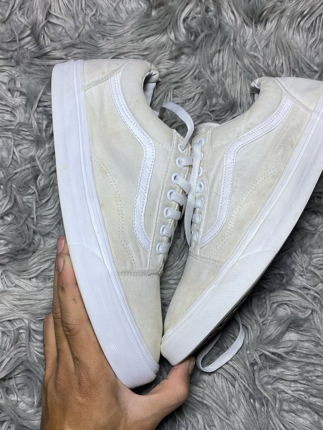 Vans Low Top (46)